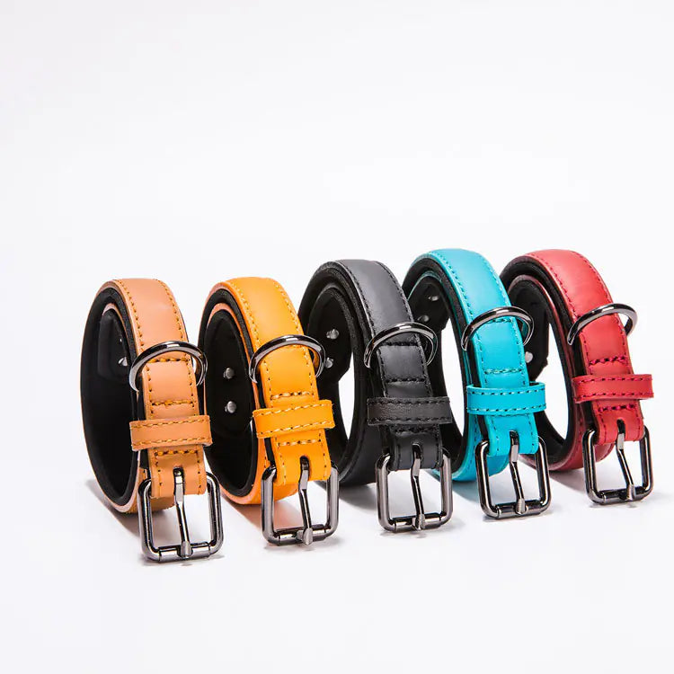 Waterproof Genuine Leather Dog Collar for Small Dogs