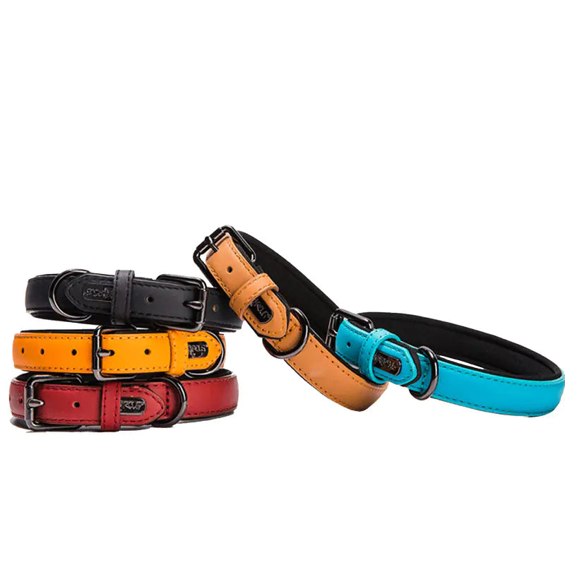 Waterproof Genuine Leather Dog Collar for Small Dogs