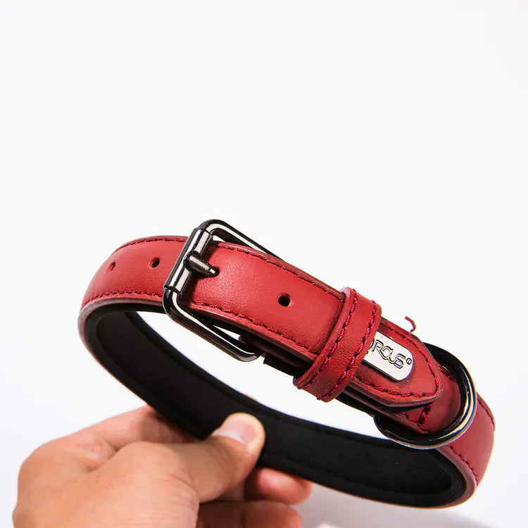 Waterproof Genuine Leather Dog Collar for Small Dogs